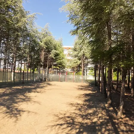 Апартаменты William's - Fourth Pretty Свети-Влас