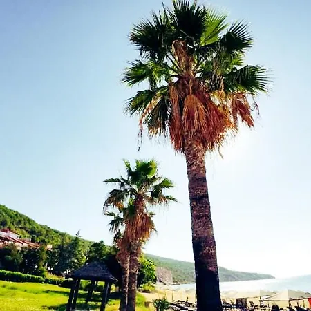 William's - Fourth Pretty * Sveti Vlas