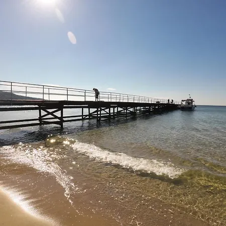 William's - Fourth Pretty * סבטי ולאס