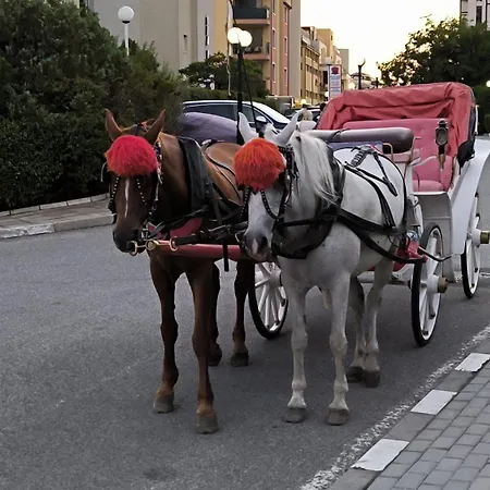 William's - Fourth Pretty Sveti Vlas