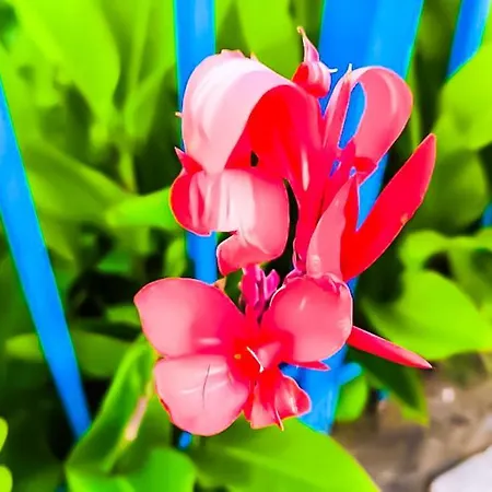 شقة William's - Fourth Pretty