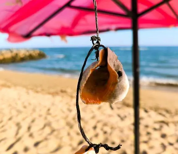 Apartament William's - Fourth Pretty