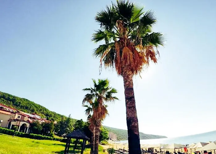 William's - Fourth Pretty * Sveti Vlas